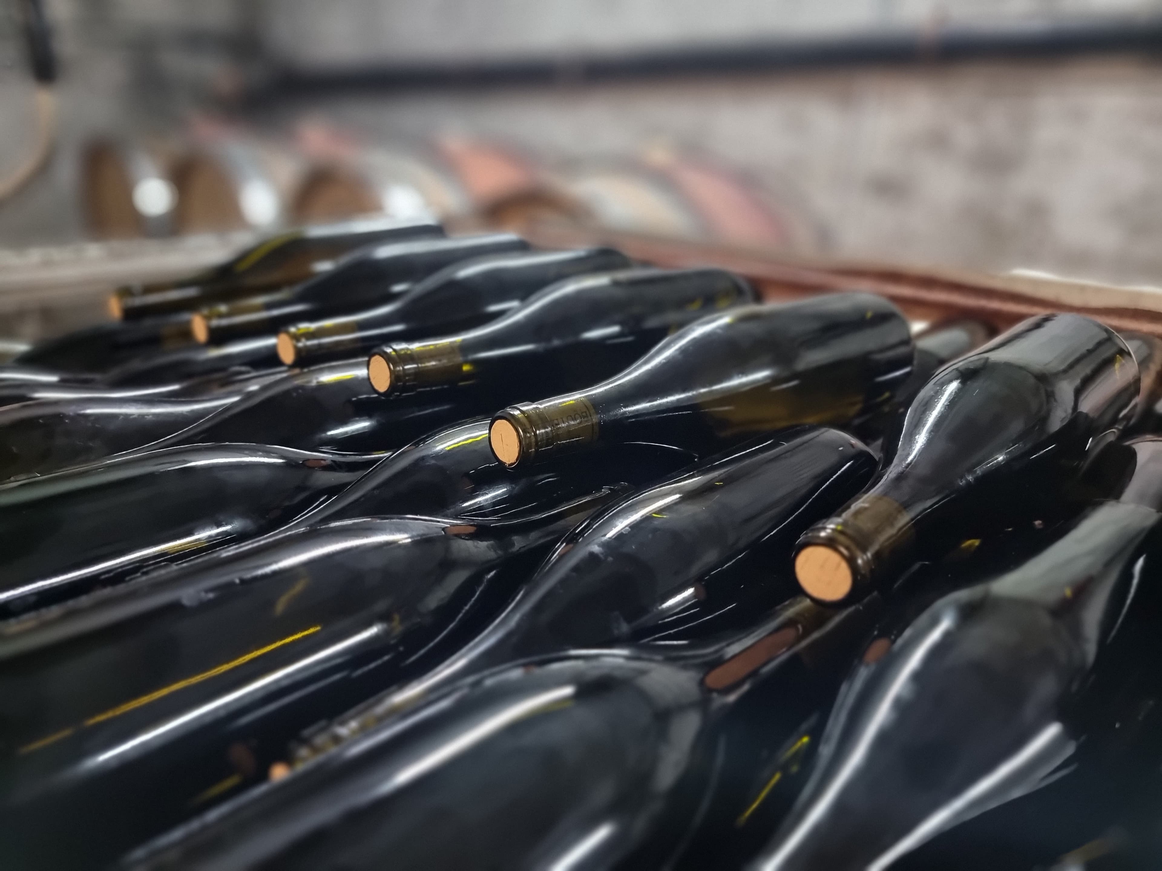 Gelagerte Weinflaschen im Keller des Weinguts.